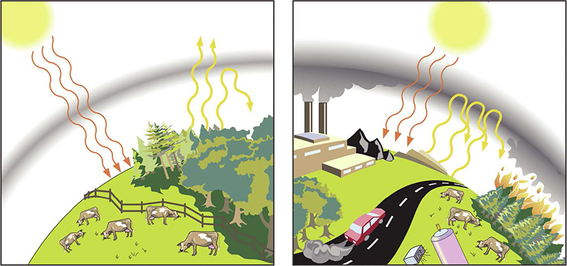 Which Planets Experience The Greenhouse Effect Handy Answer Book